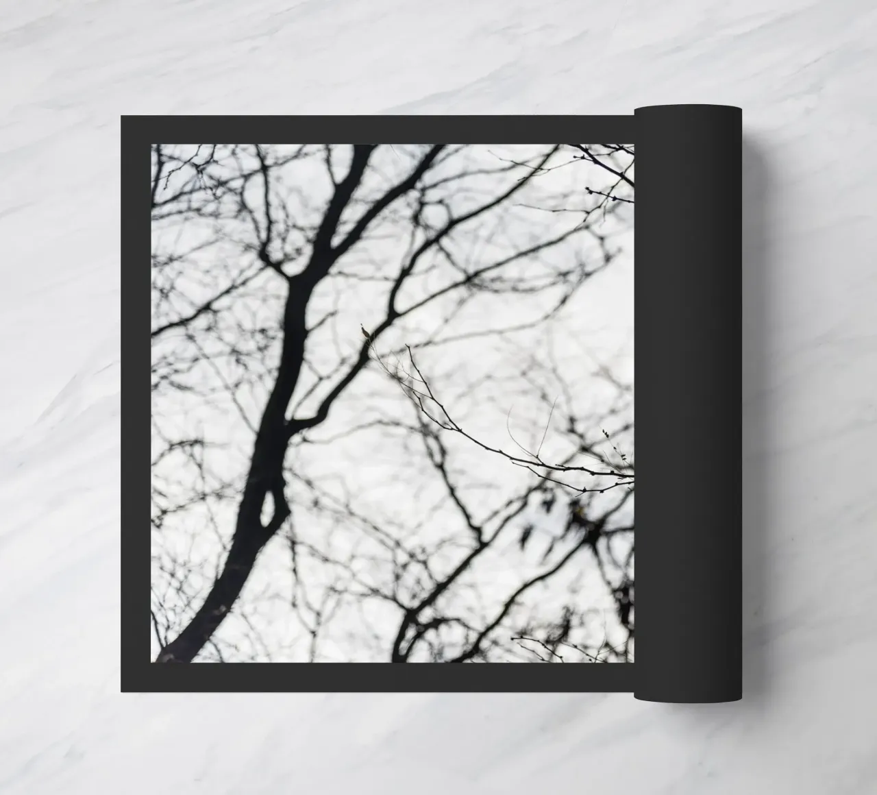 Bird in a tree zerbino da photolovers