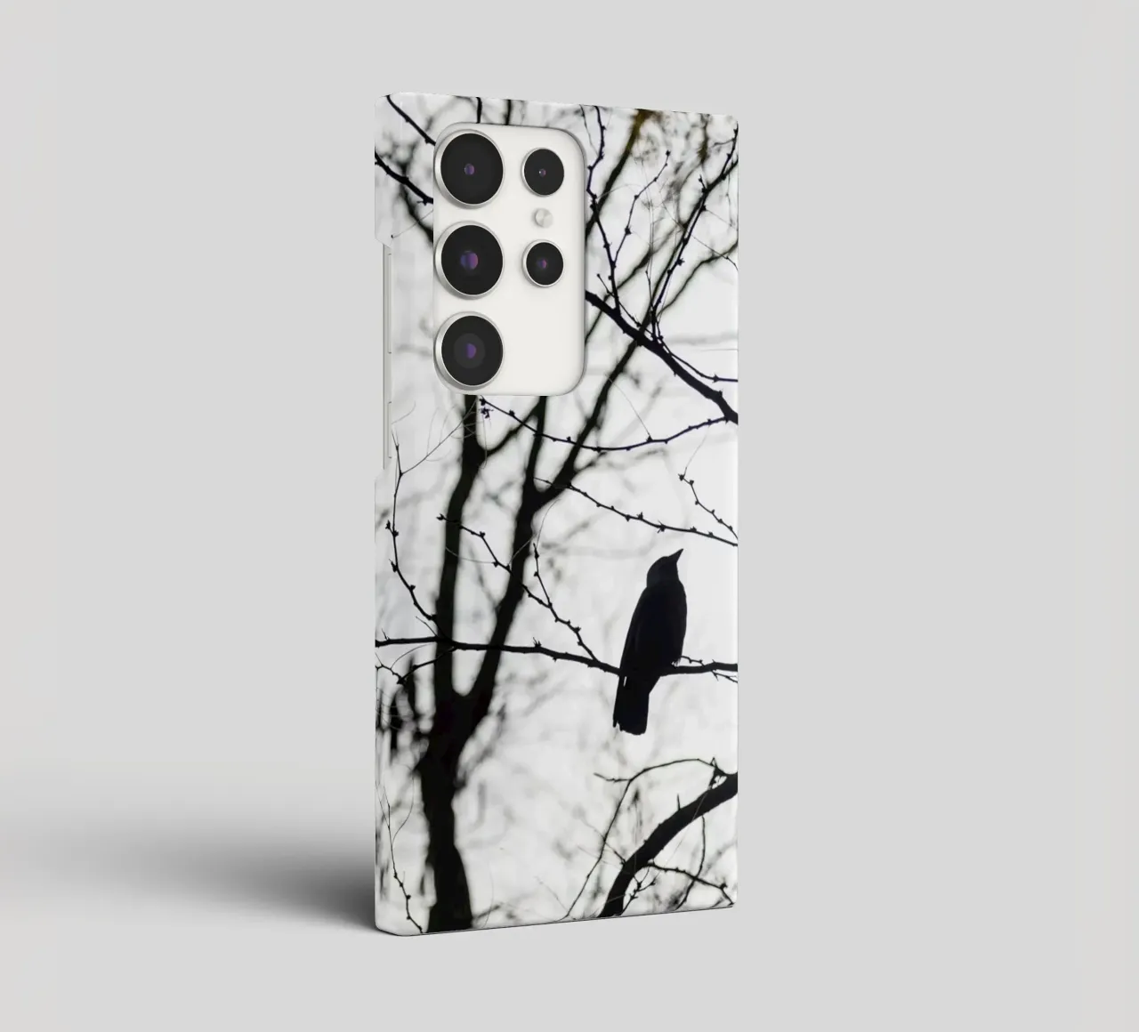 Bird in a tree cover samsung da photolovers