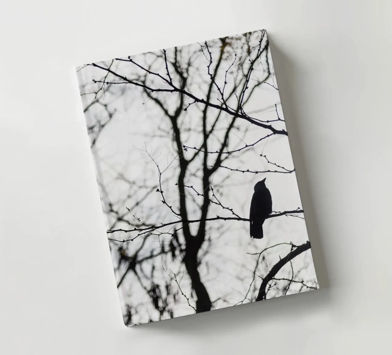 Bird in a tree notebook by photolovers