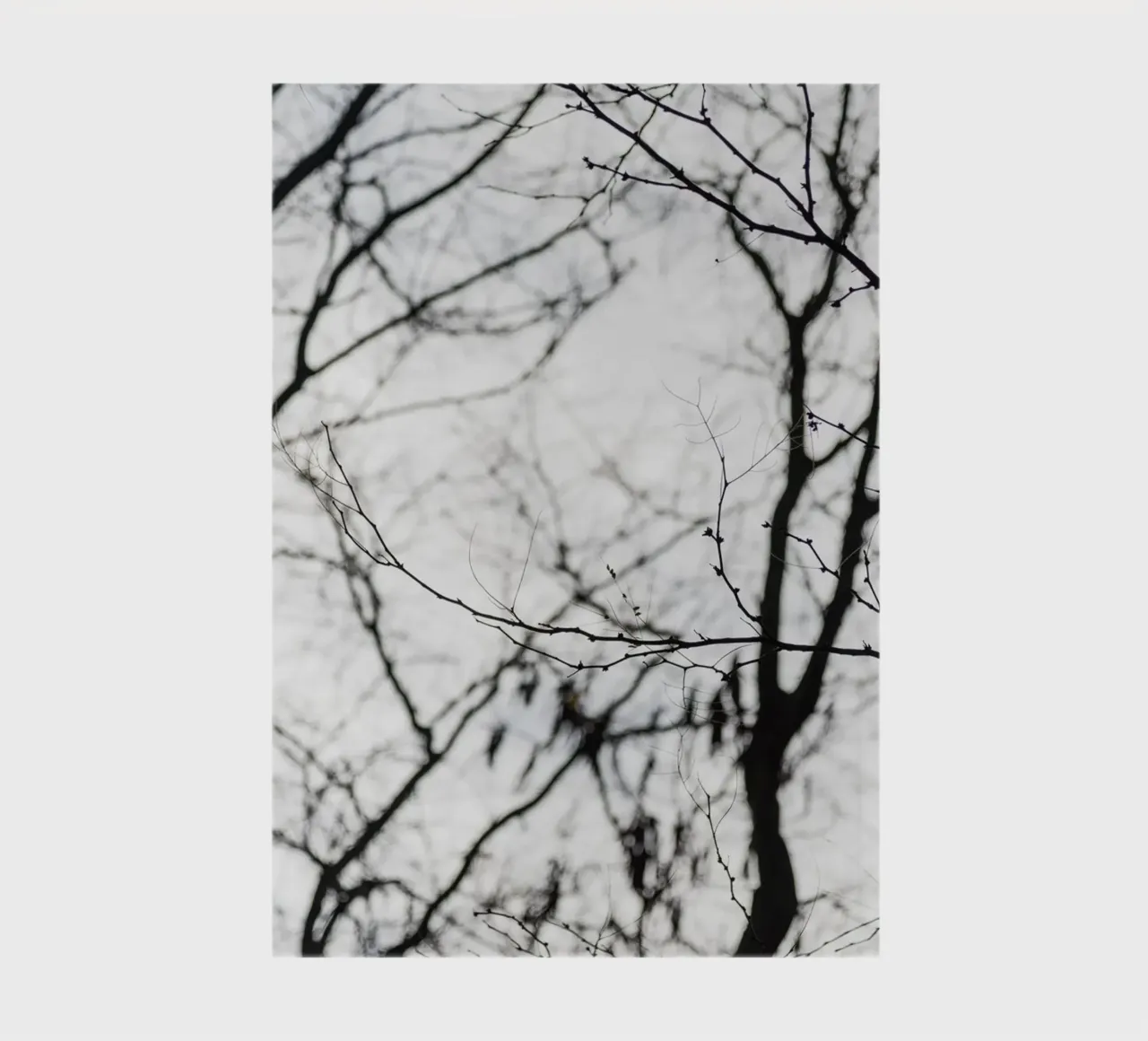 Bird in a tree notebook by photolovers