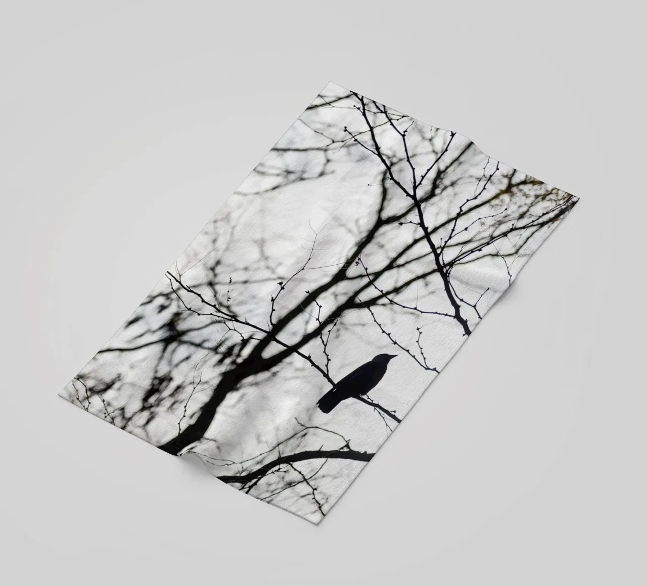 Bird in a tree telo mare da photolovers