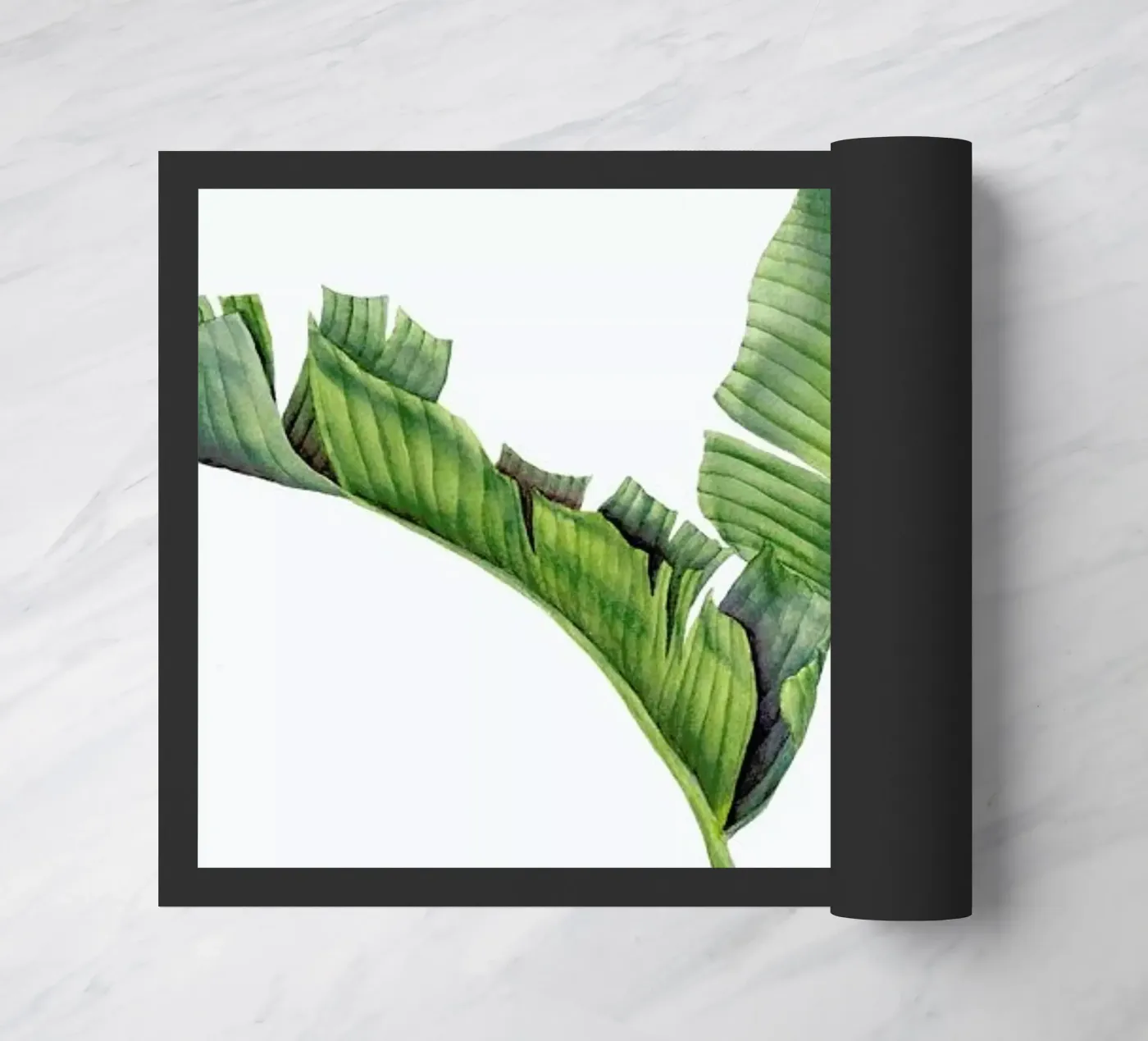 Strelitzienblätter zerbino da youdesignme