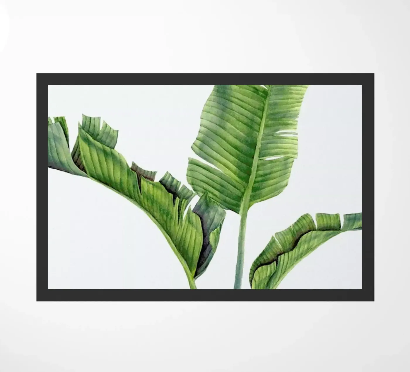 Strelitzienblätter zerbino da youdesignme