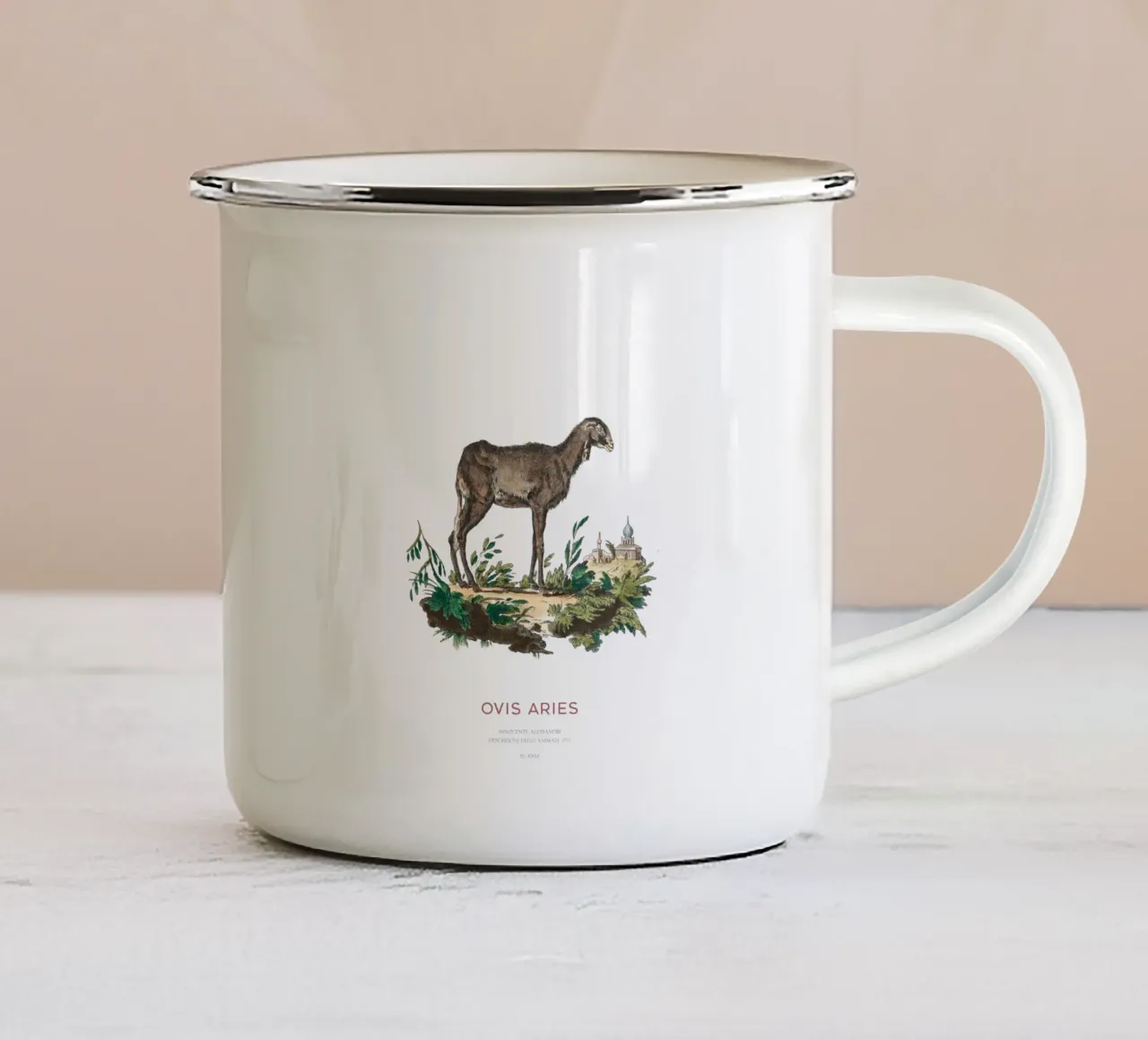 Pecora domestica Illustrazione animale d'epoca tazza in smalto da Vintagrafica
