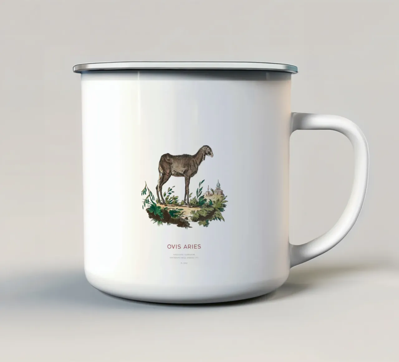 Pecora domestica Illustrazione animale d'epoca tazza in smalto da Vintagrafica