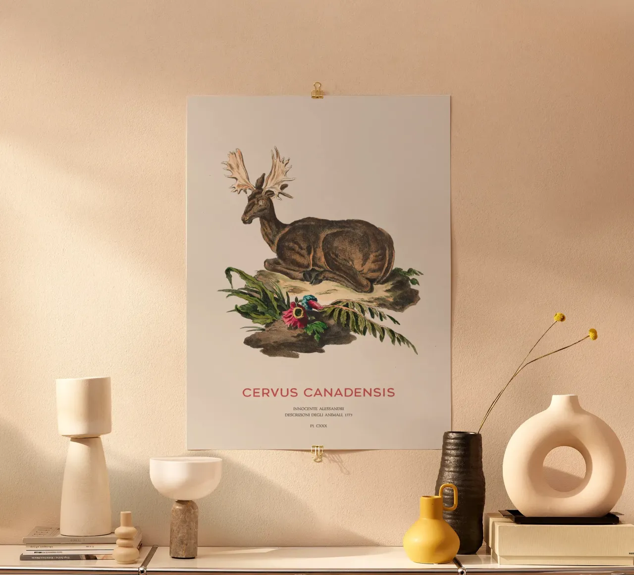 Alce Schizzo scientifico d'epoca poster con telaio in alluminio da Vintagrafica