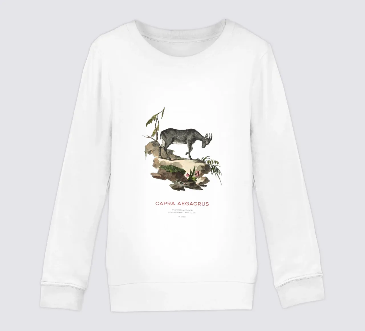 Cabra salvaje Dibujo científico sudadera para niño de Vintagrafica