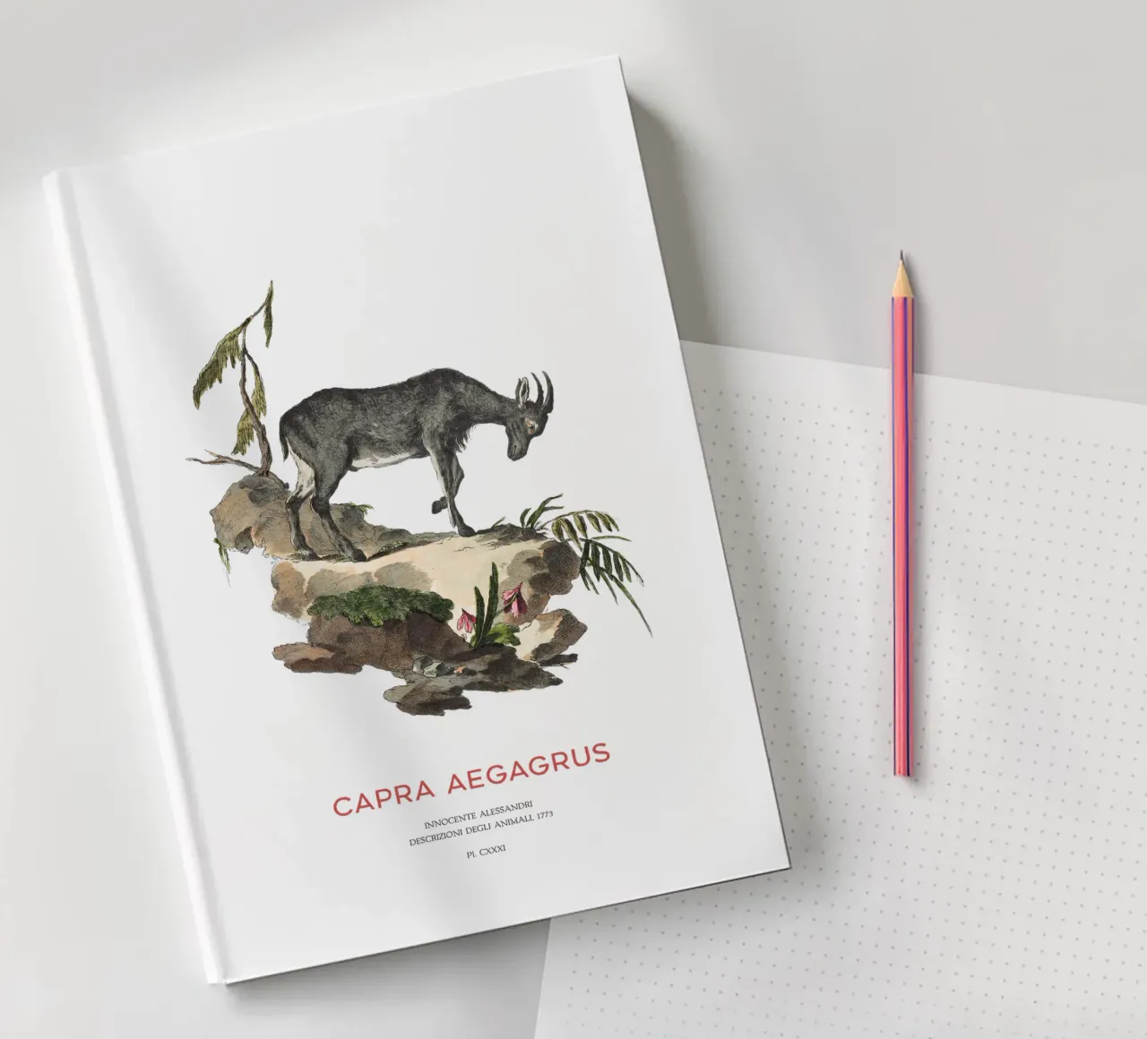 Wild Goat Scientific Drawing notebook by Vintagrafica