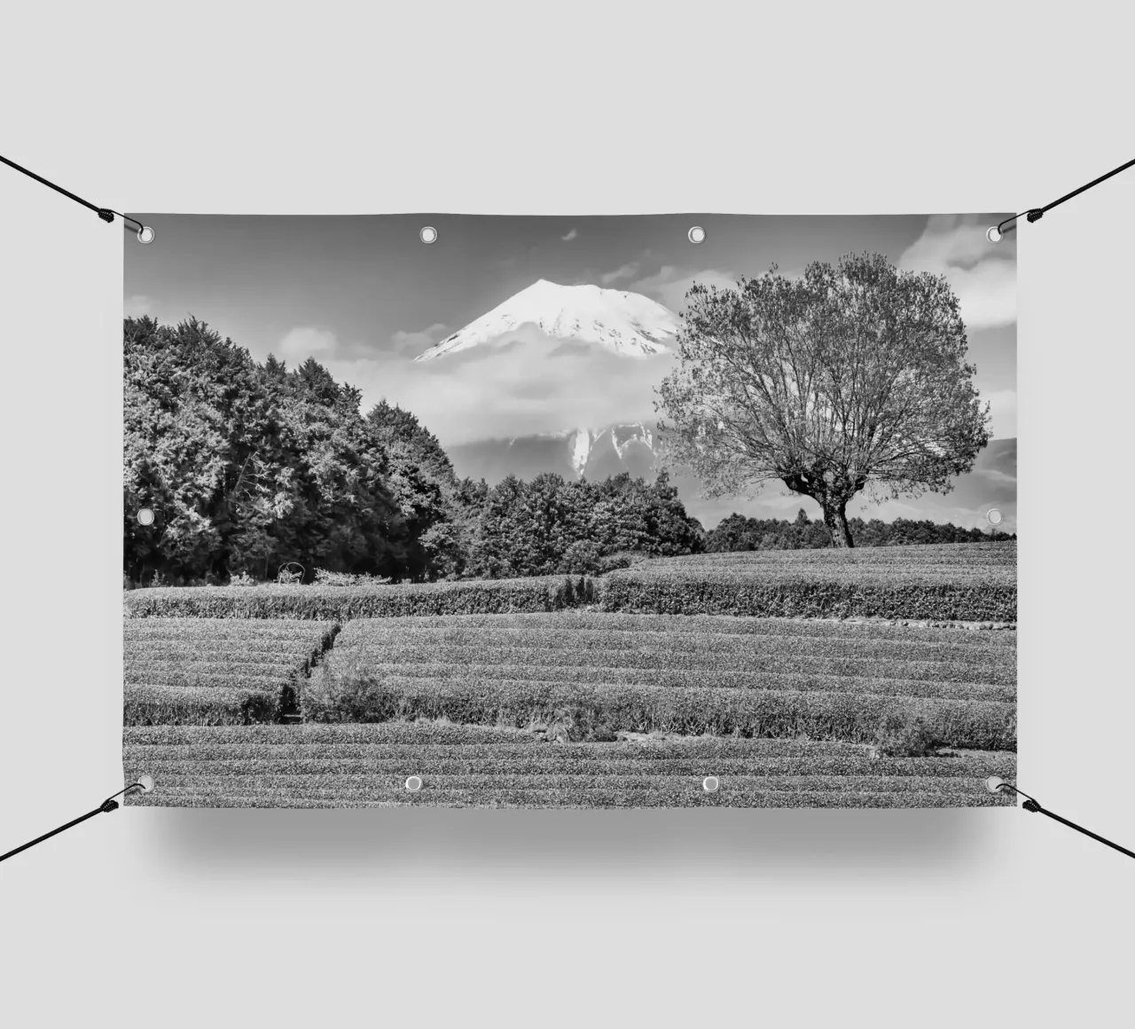 Fuji con piantagione di tè Obuchi | monocromia telo in pvc da Melanie Viola