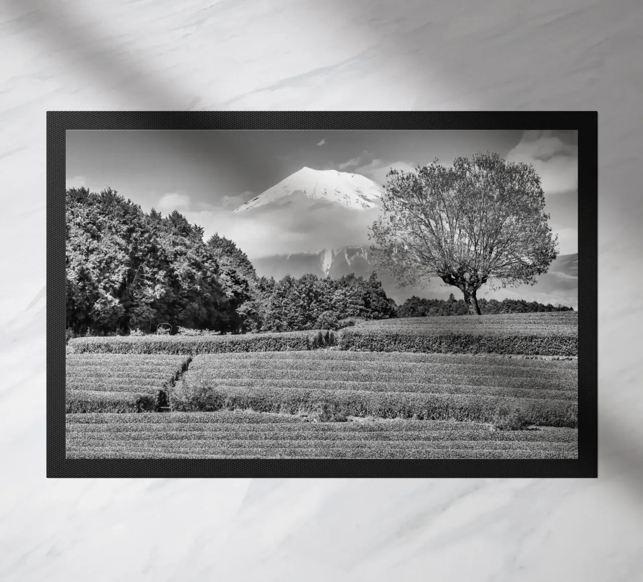 Fuji con piantagione di tè Obuchi | monocromia zerbino da Melanie Viola