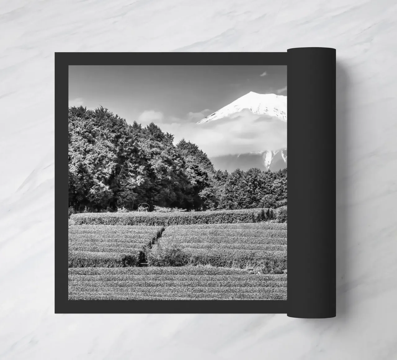 Fuji con piantagione di tè Obuchi | monocromia zerbino da Melanie Viola