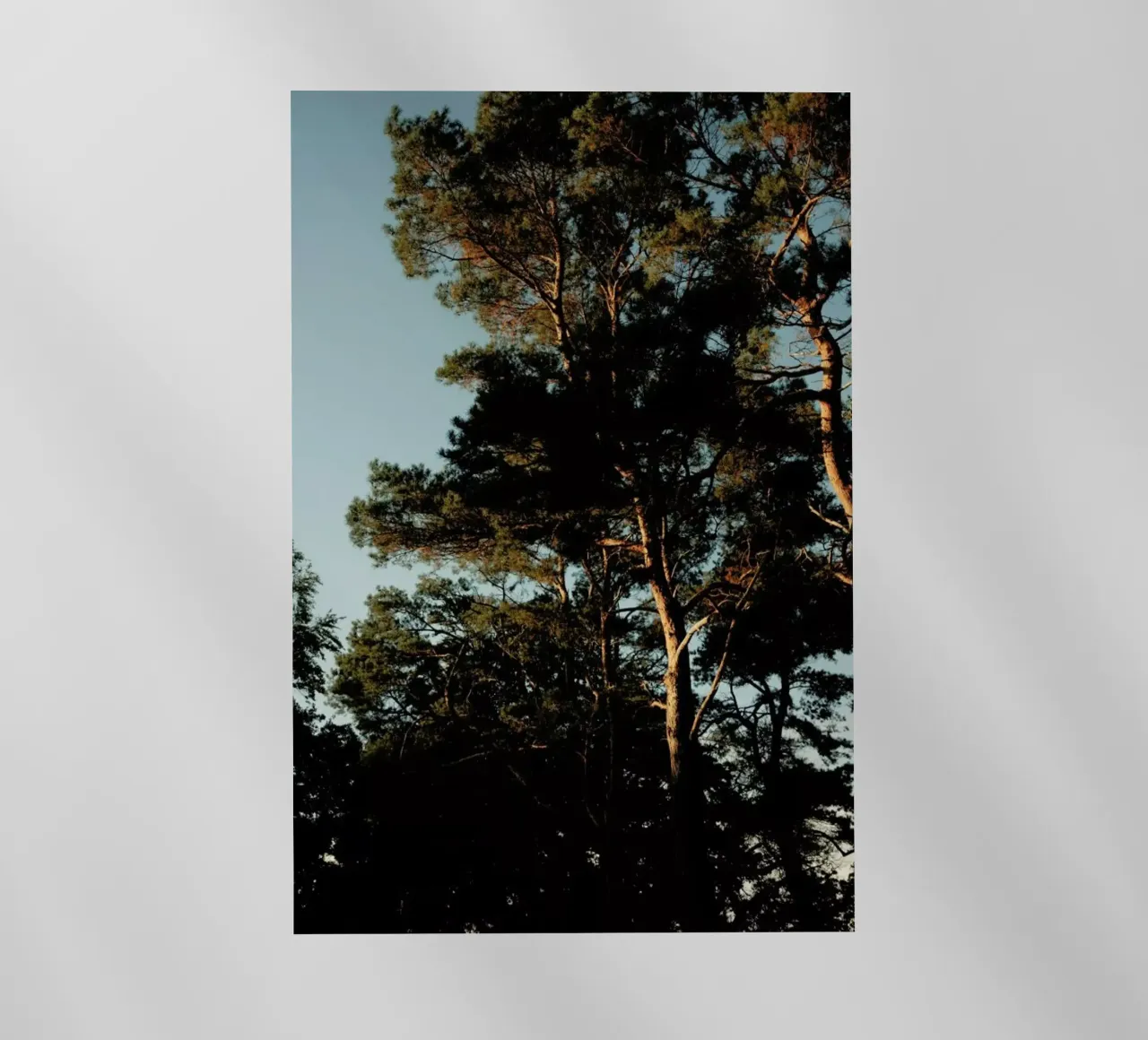 Lights And Shoadows pellicola backlit da Sebastian Hilgetag