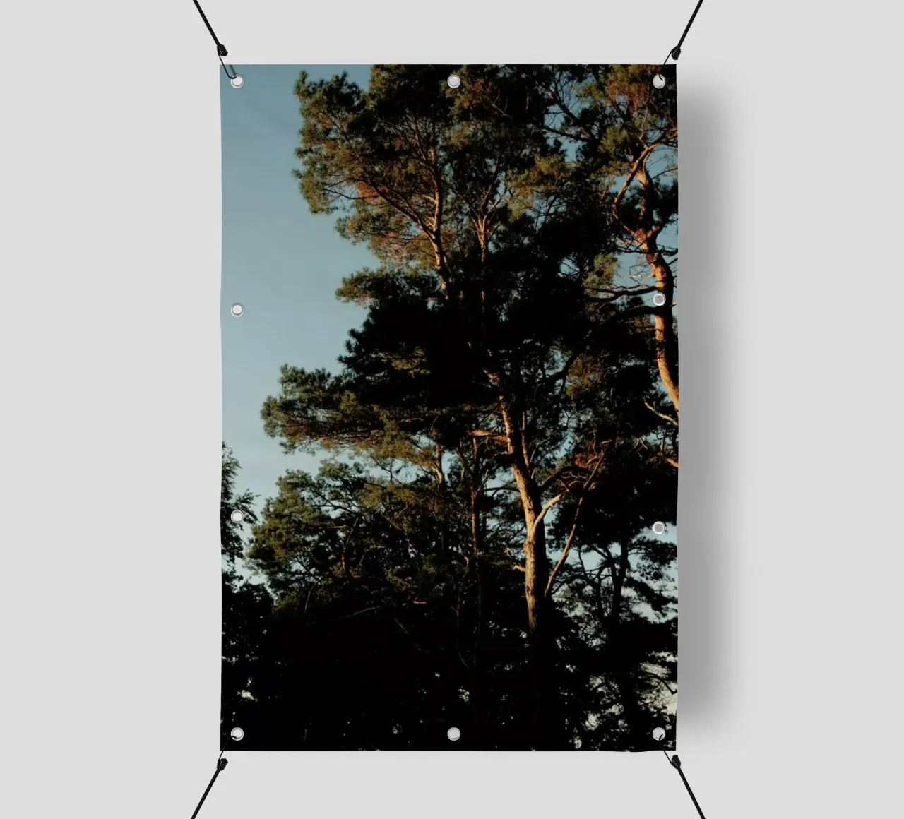 Lights And Shoadows telo in pvc da Sebastian Hilgetag