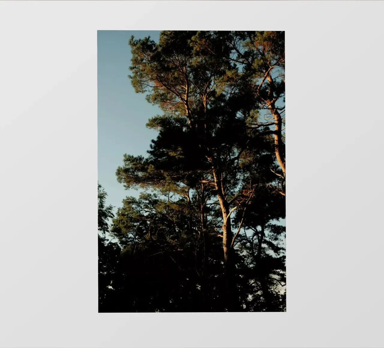 Lights And Shoadows telo in pvc da Sebastian Hilgetag