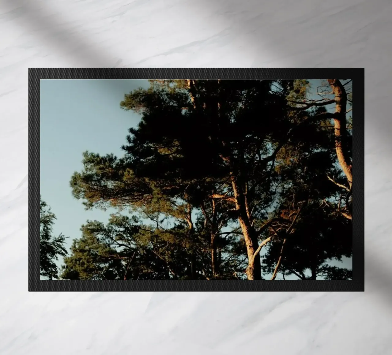 Lights And Shoadows zerbino da Sebastian Hilgetag