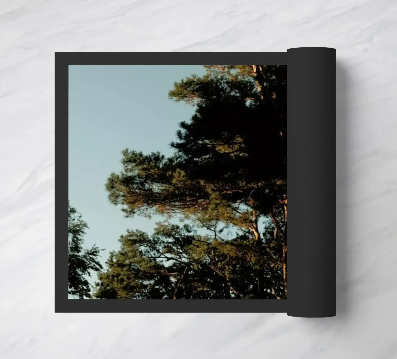 Lights And Shoadows zerbino da Sebastian Hilgetag