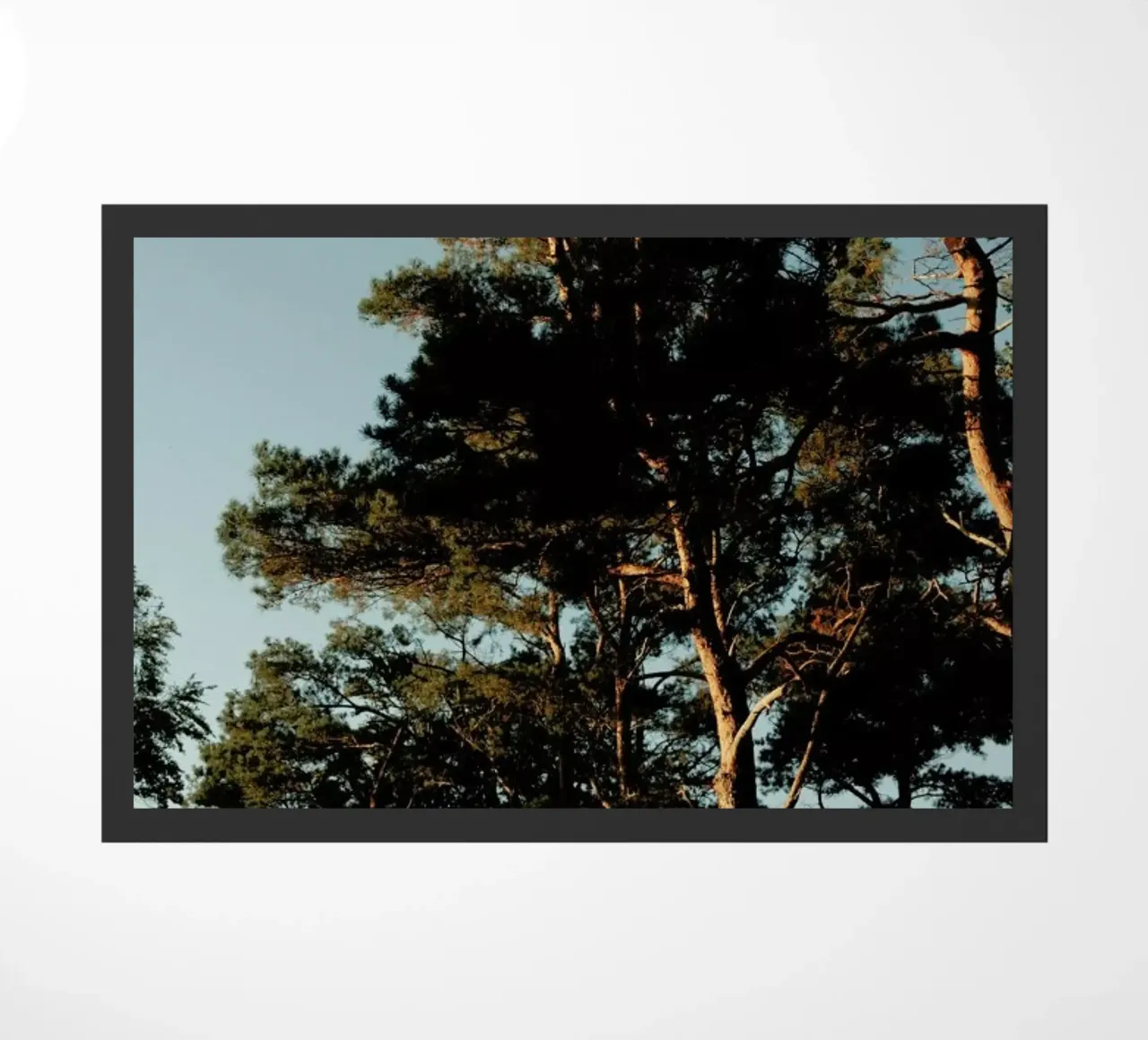 Lights And Shoadows zerbino da Sebastian Hilgetag