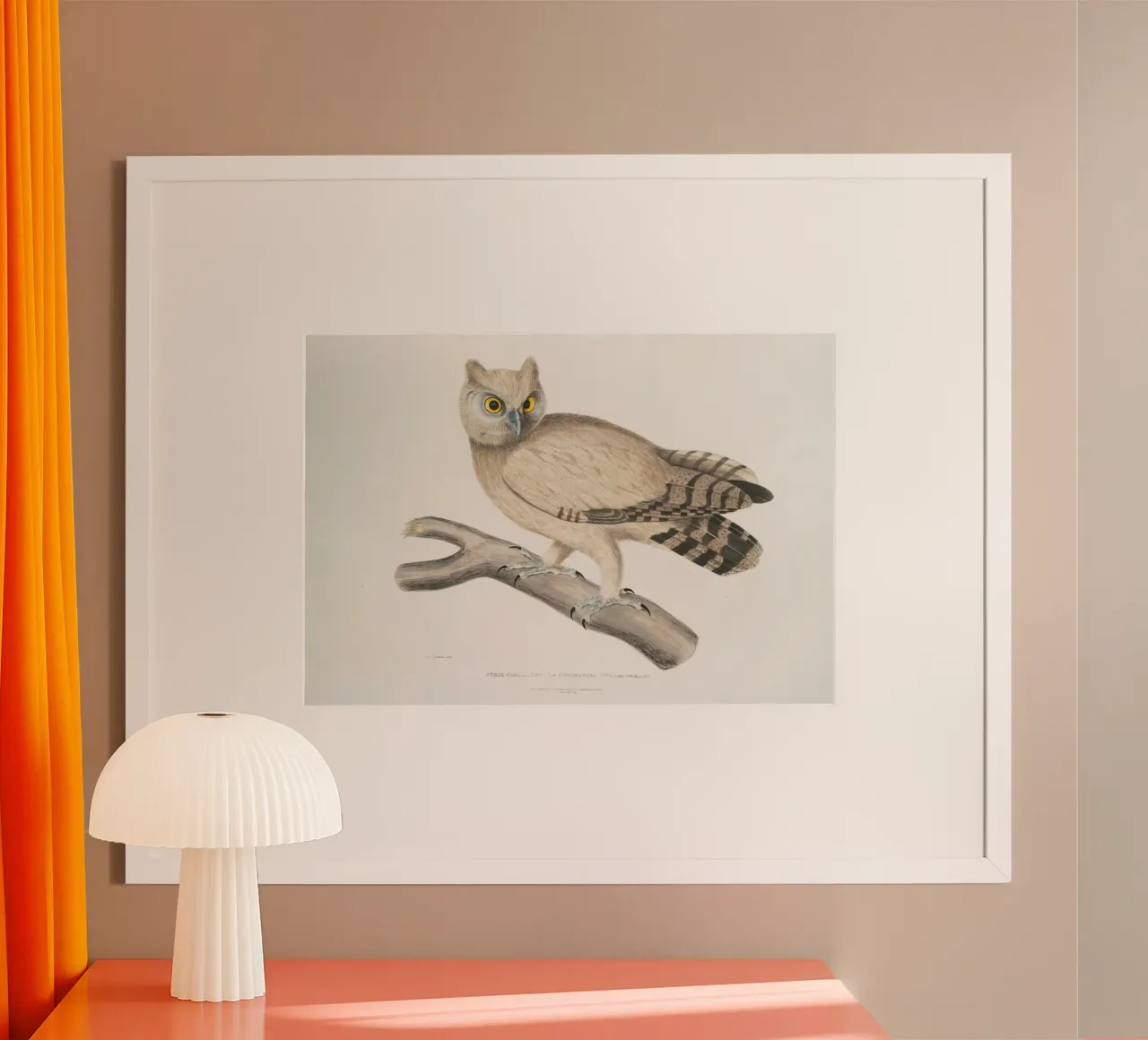 Illustrazione vintage di gufo dagli occhiali - Arte degli uccelli in stile Audubon poster con telaio in plastica da ClubArt