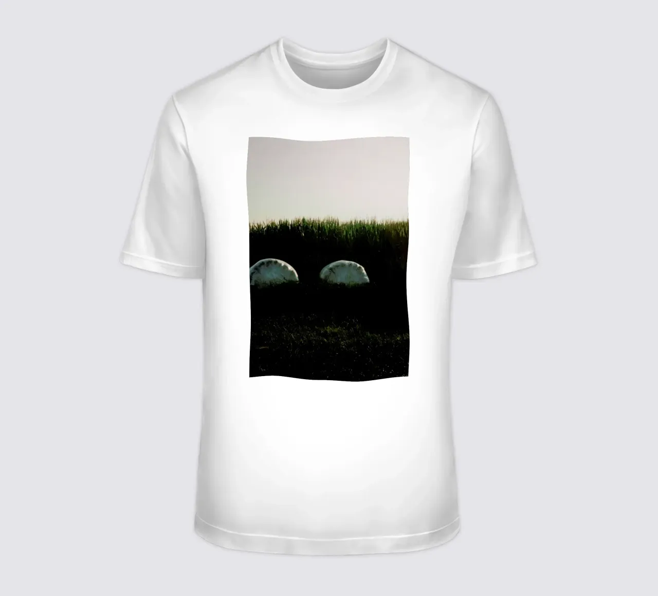 Analog Series Fields At Sundown T-Shirt von Sebastian Hilgetag