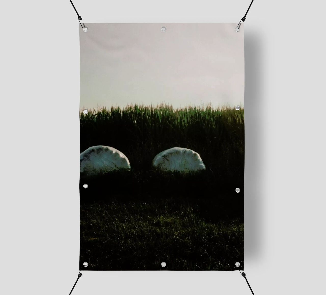 Analog Series Fields At Sundown telo in pvc da Sebastian Hilgetag