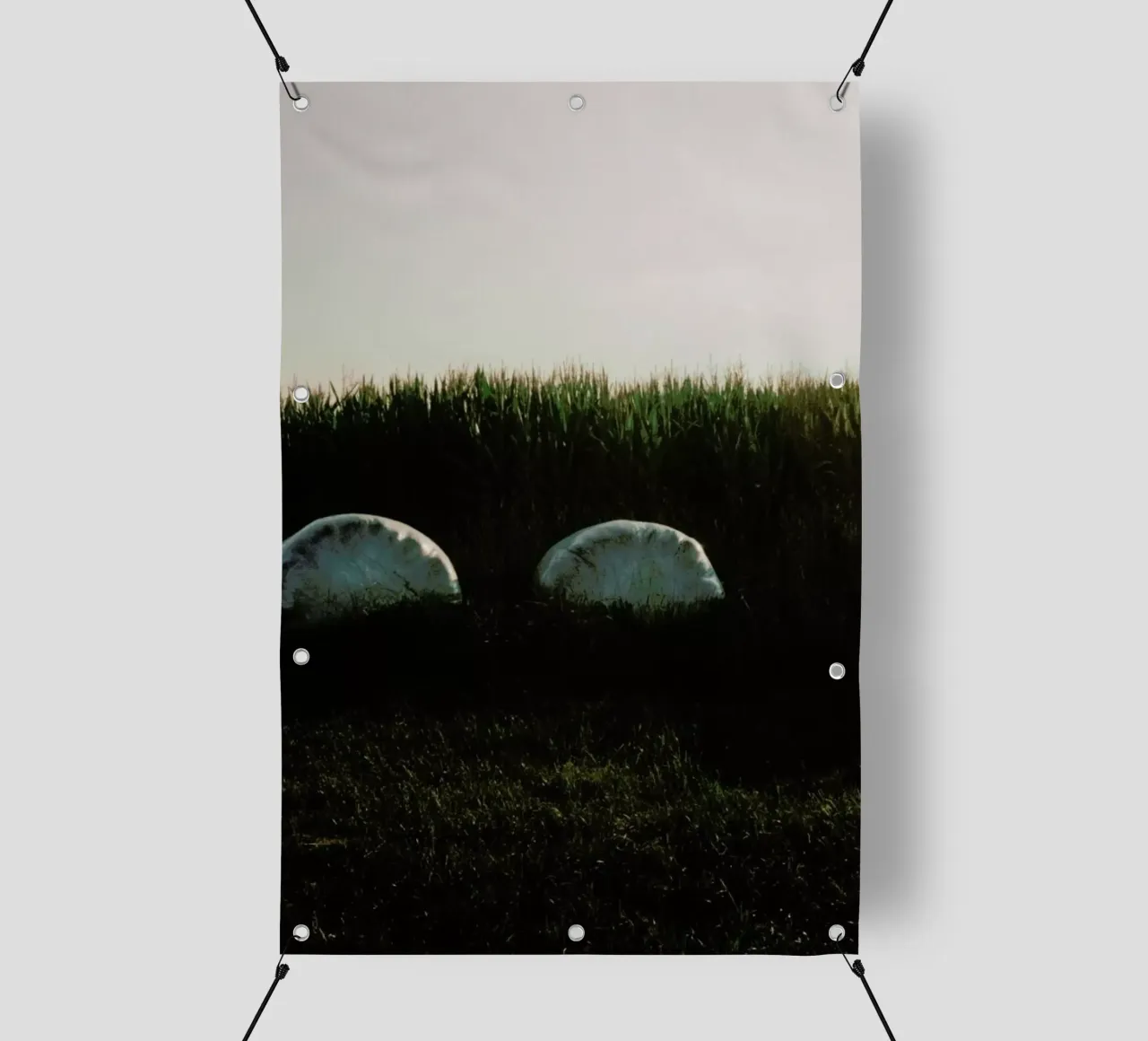 Analog Series Fields At Sundown telo in pvc da Sebastian Hilgetag