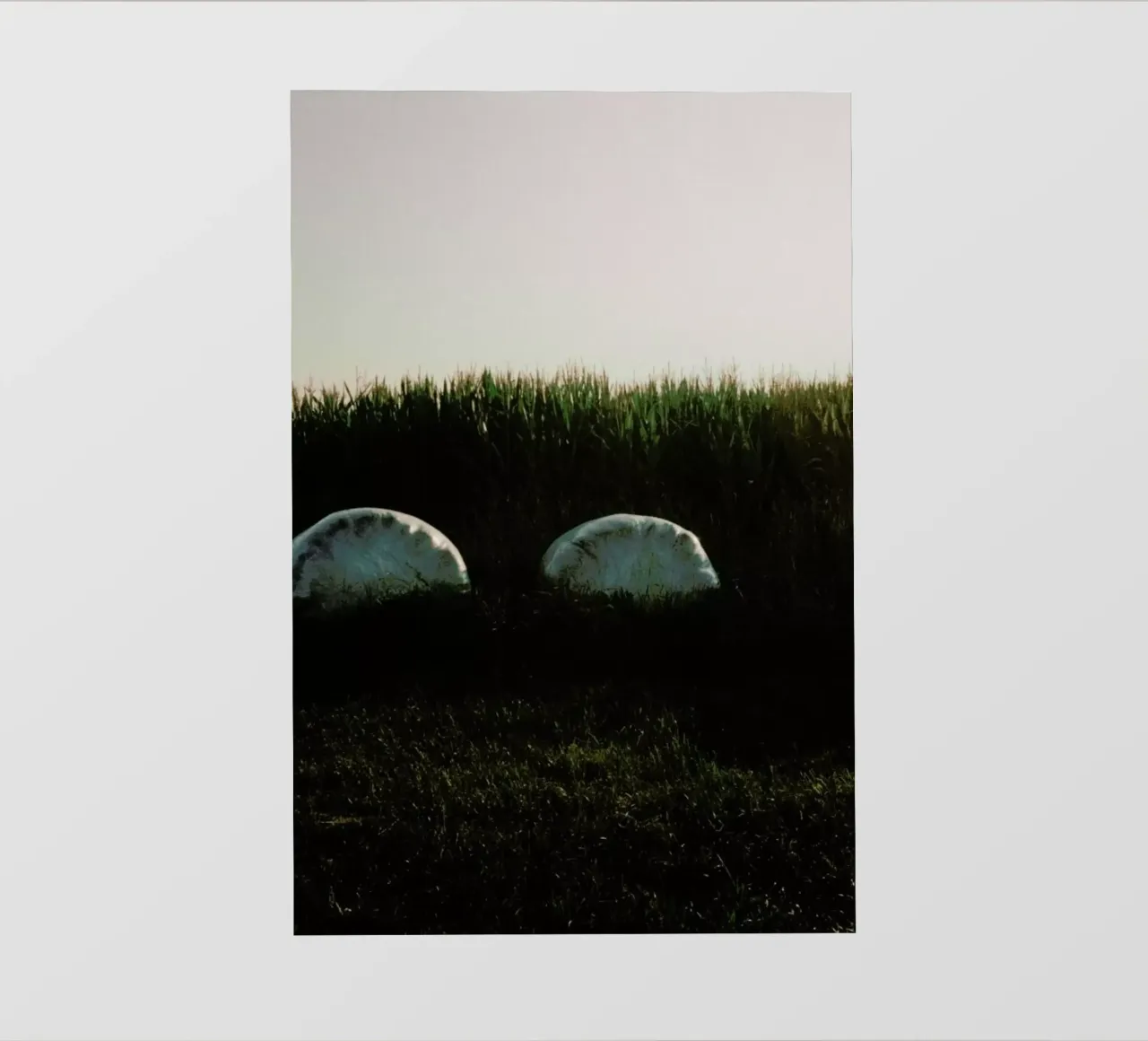 Analog Series Fields At Sundown PVC Plane von Sebastian Hilgetag