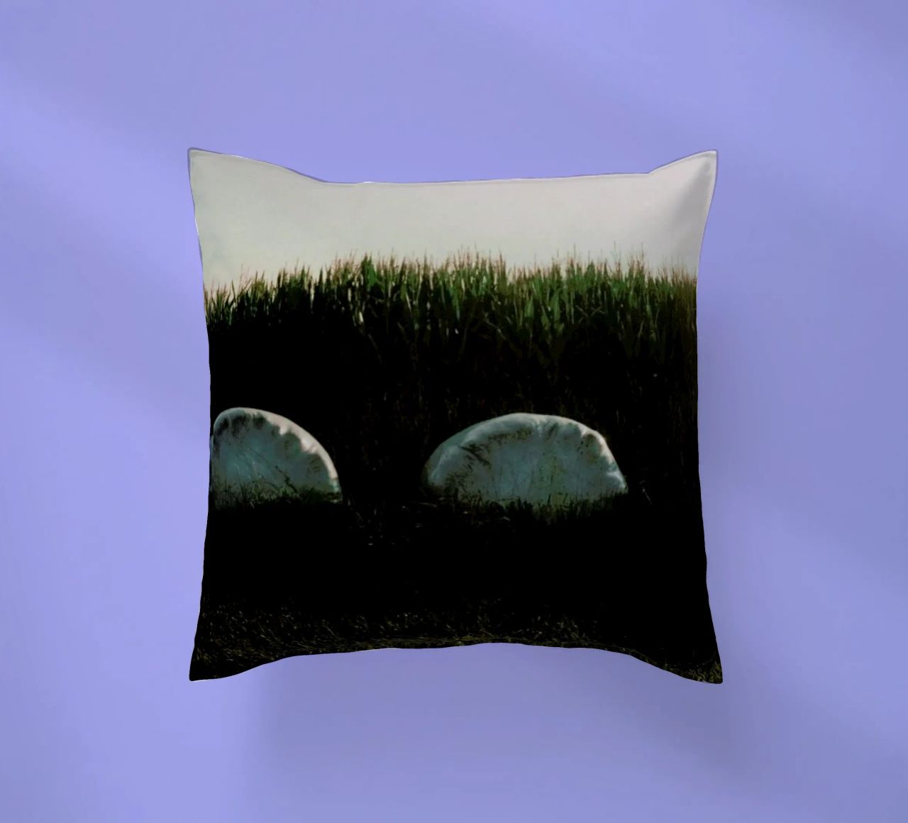 Analog Series Fields At Sundown cuscino da Sebastian Hilgetag