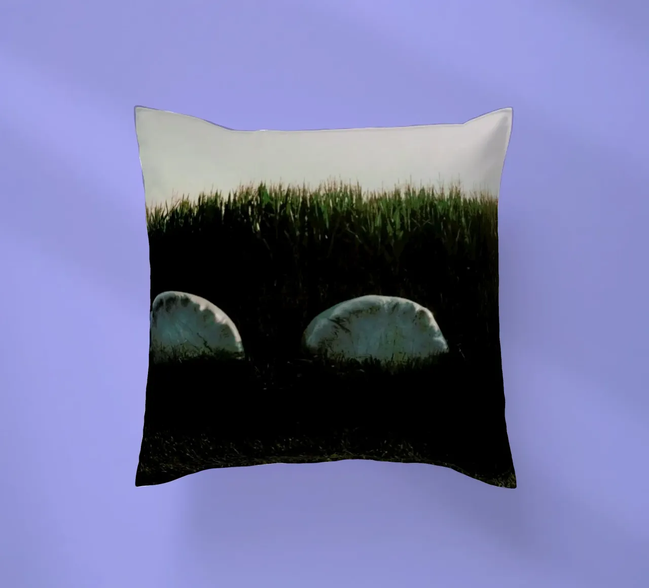Analog Series Fields At Sundown cuscino da Sebastian Hilgetag
