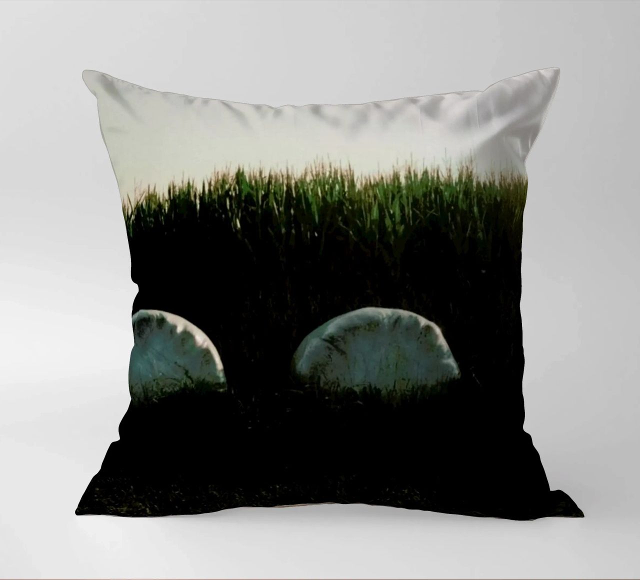 Analog Series Fields At Sundown cuscino da Sebastian Hilgetag