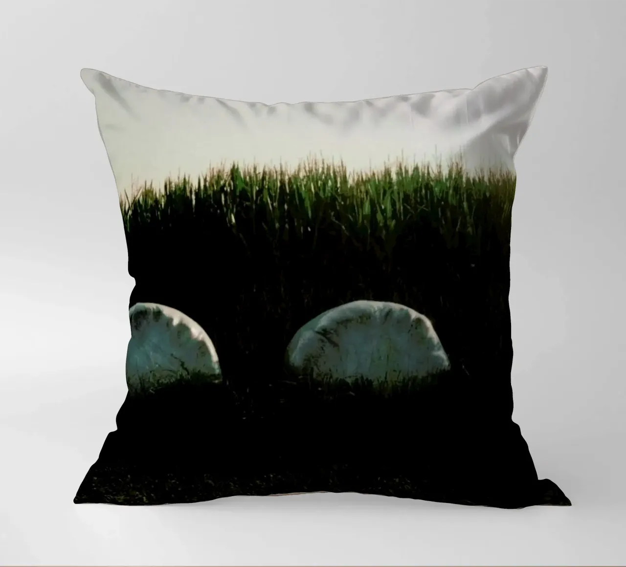 Analog Series Fields At Sundown cuscino da Sebastian Hilgetag