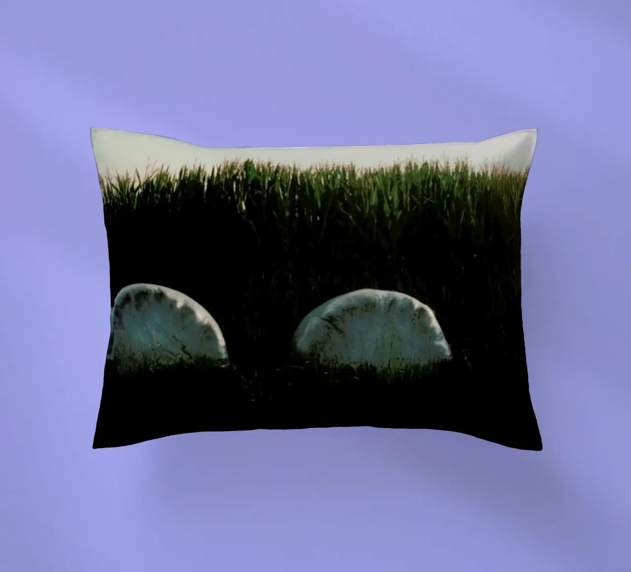 Analog Series Fields At Sundown coussin de Sebastian Hilgetag