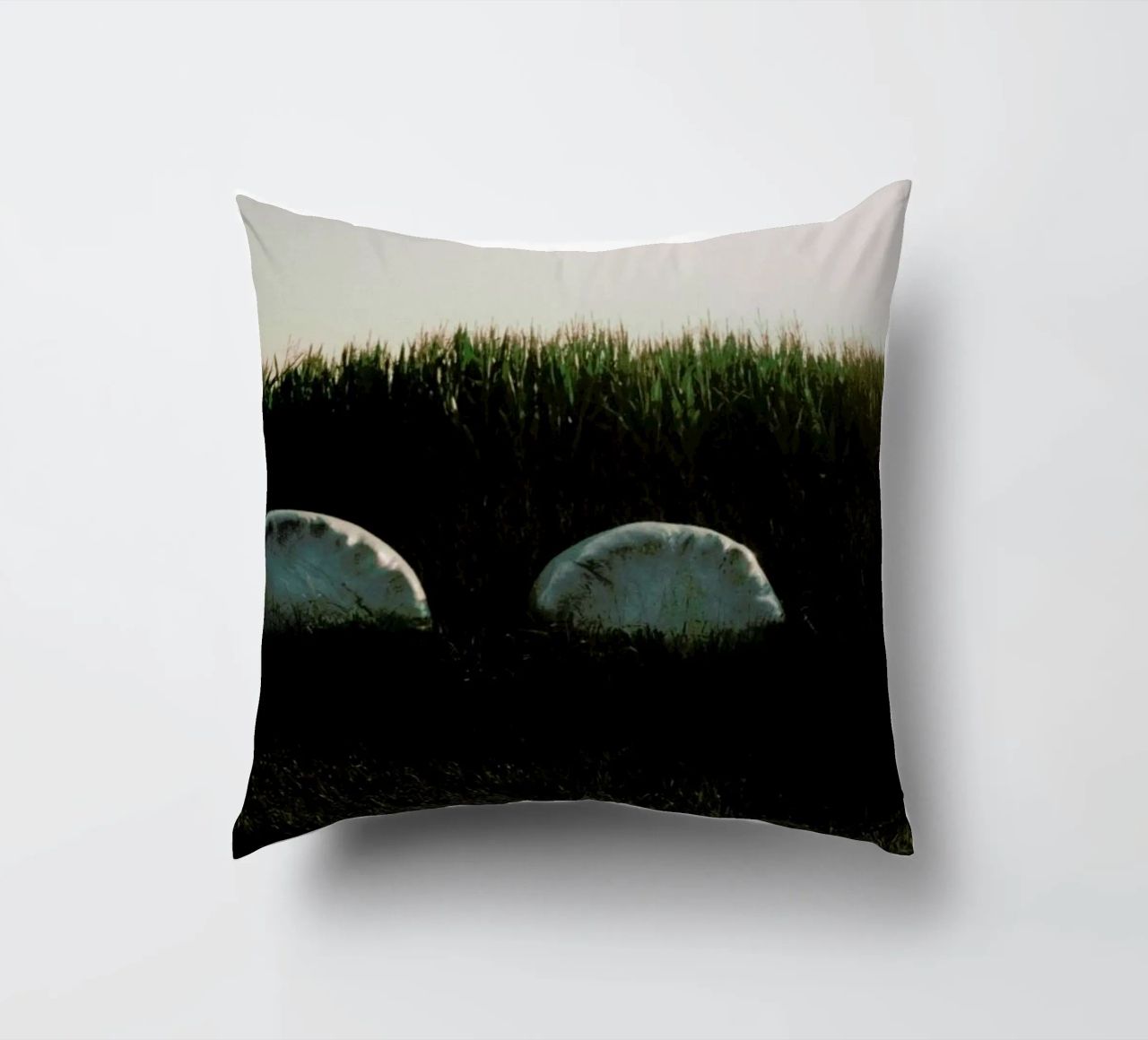 Analog Series Fields At Sundown cuscino da Sebastian Hilgetag