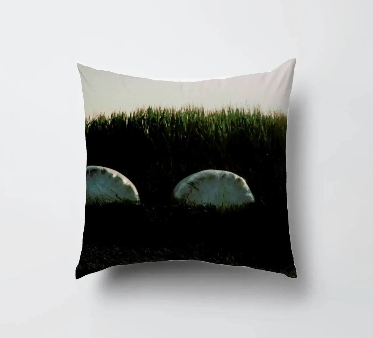 Analog Series Fields At Sundown cuscino da Sebastian Hilgetag