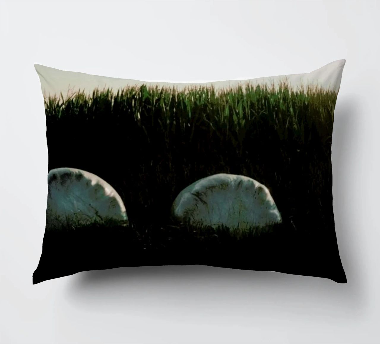 Analog Series Fields At Sundown cuscino da Sebastian Hilgetag