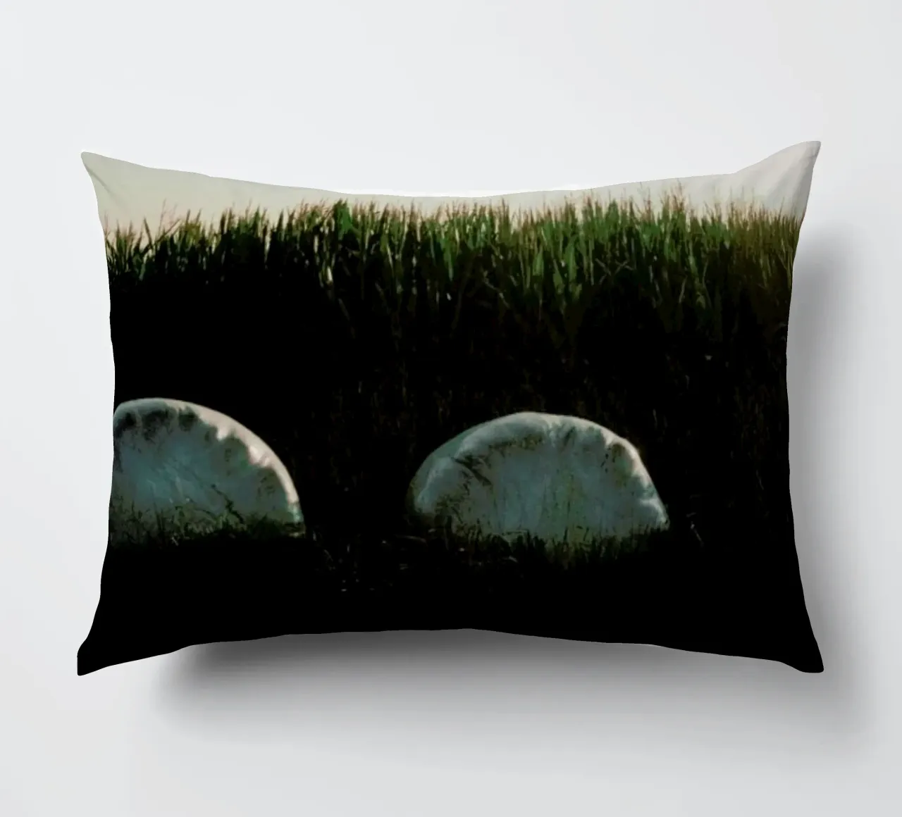 Analog Series Fields At Sundown cuscino da Sebastian Hilgetag