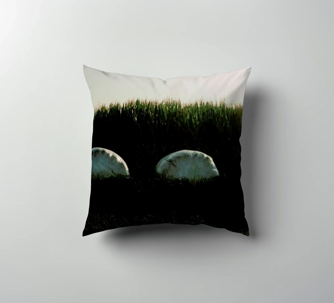 Analog Series Fields At Sundown cuscino da Sebastian Hilgetag