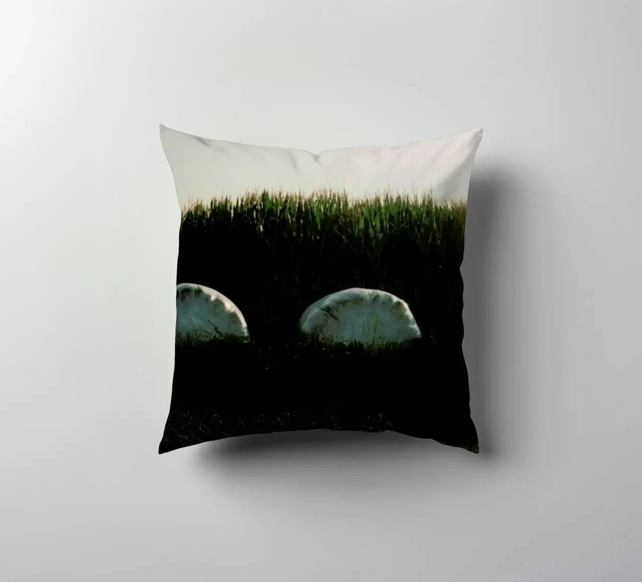 Analog Series Fields At Sundown cuscino da Sebastian Hilgetag