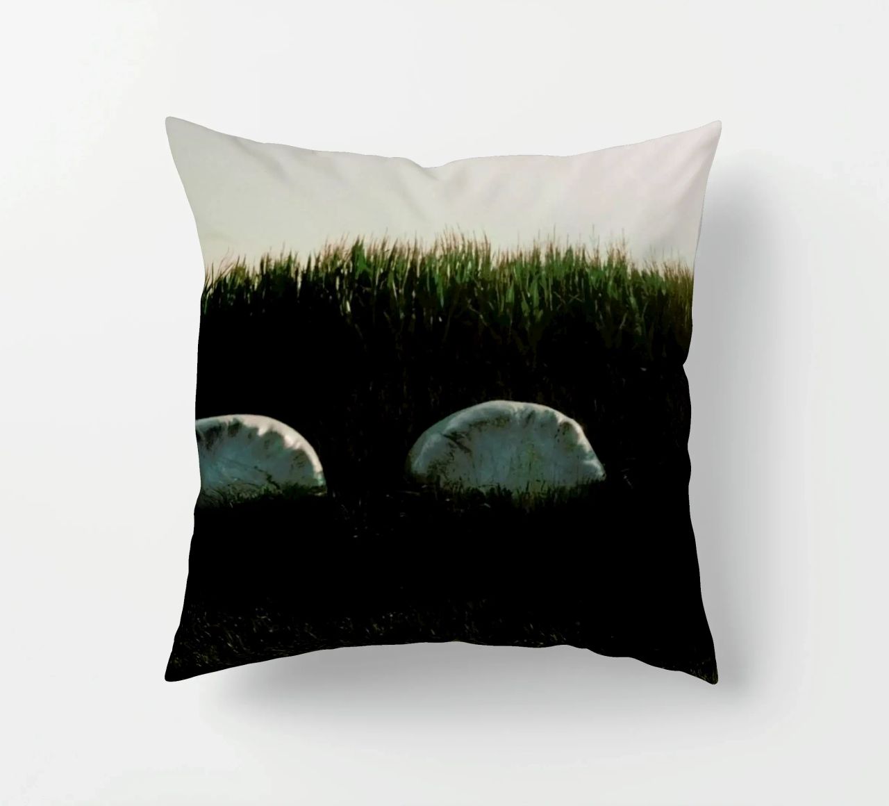 Analog Series Fields At Sundown cuscino da Sebastian Hilgetag