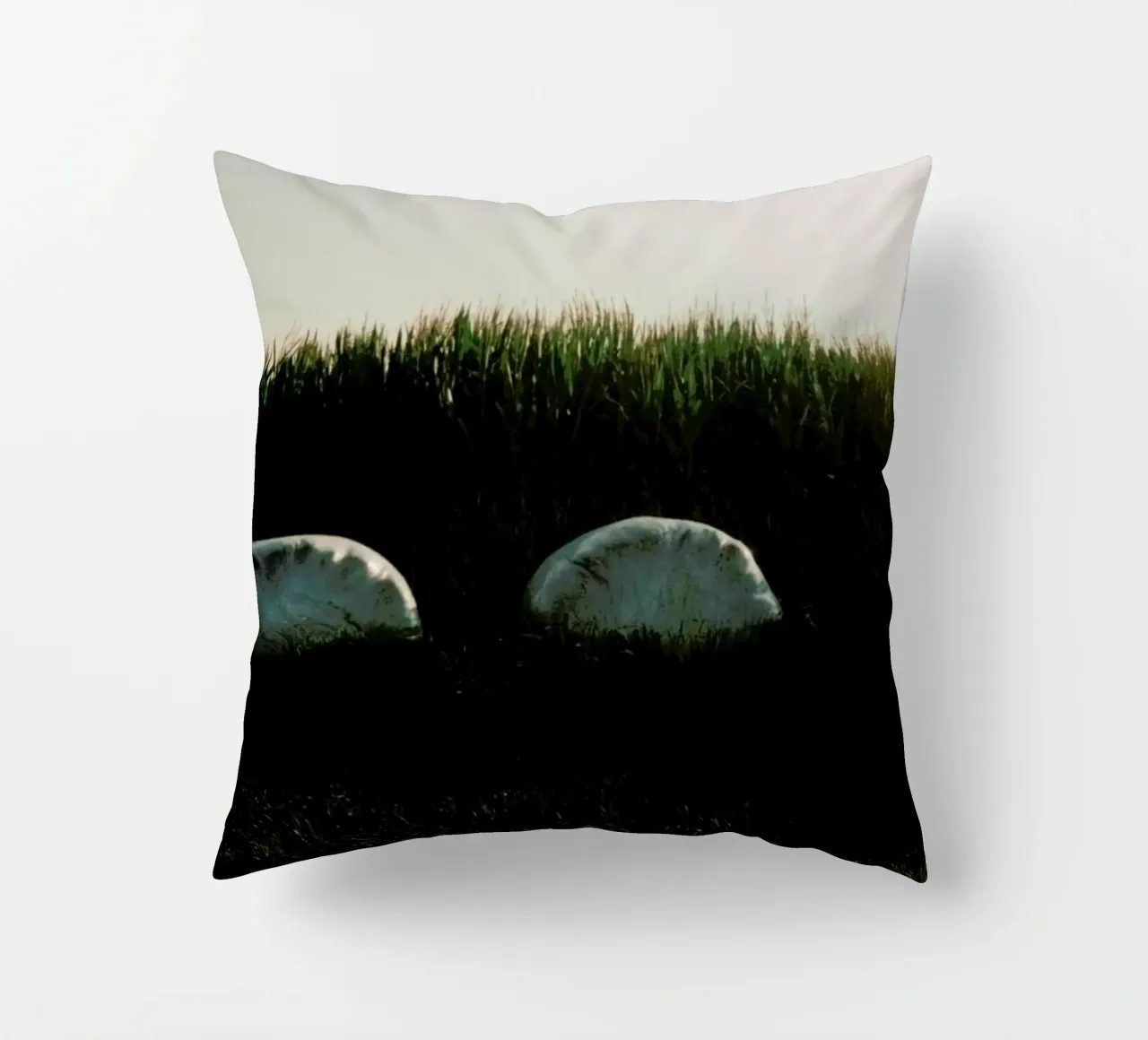 Analog Series Fields At Sundown cuscino da Sebastian Hilgetag