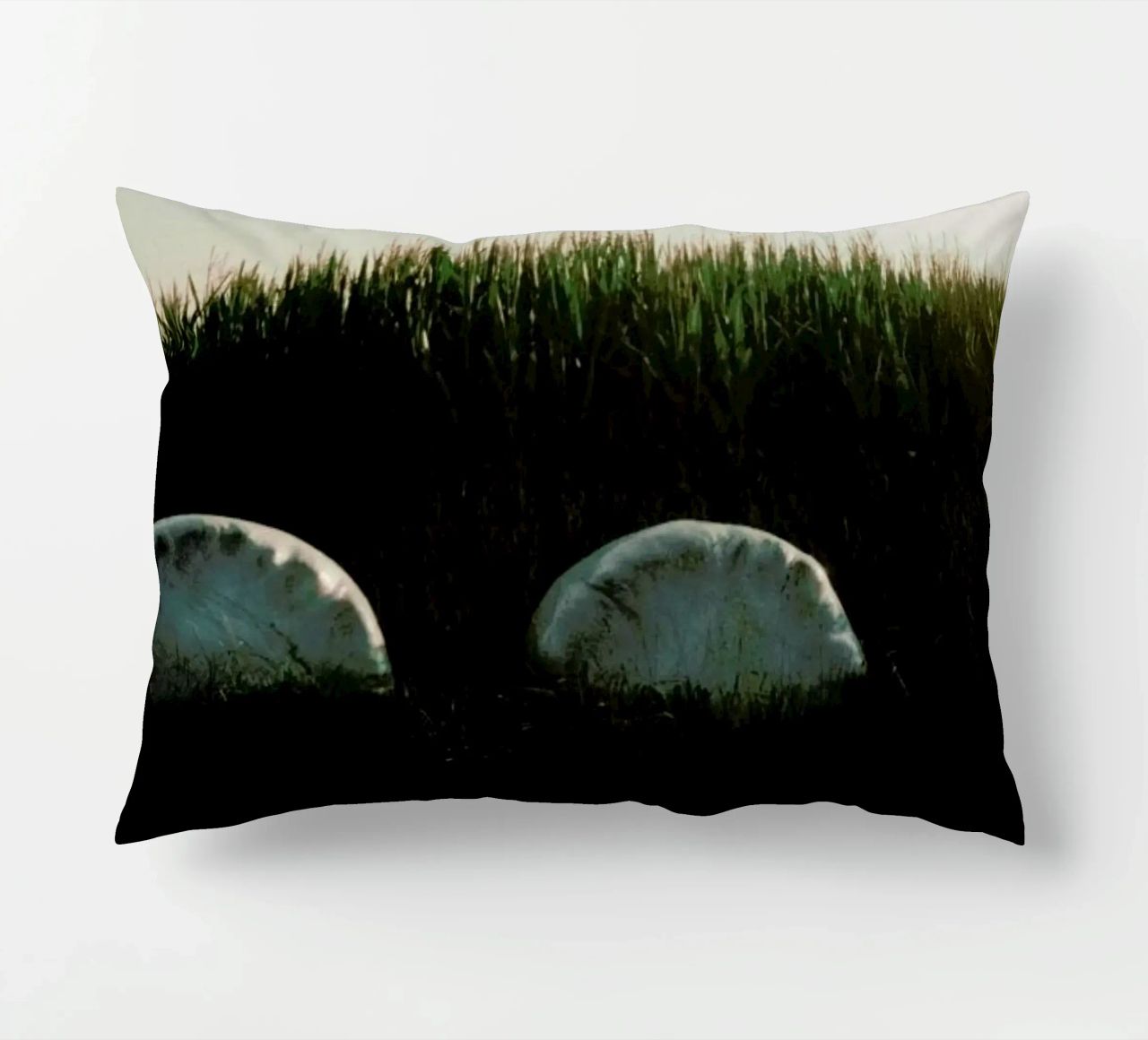 Analog Series Fields At Sundown cuscino da Sebastian Hilgetag