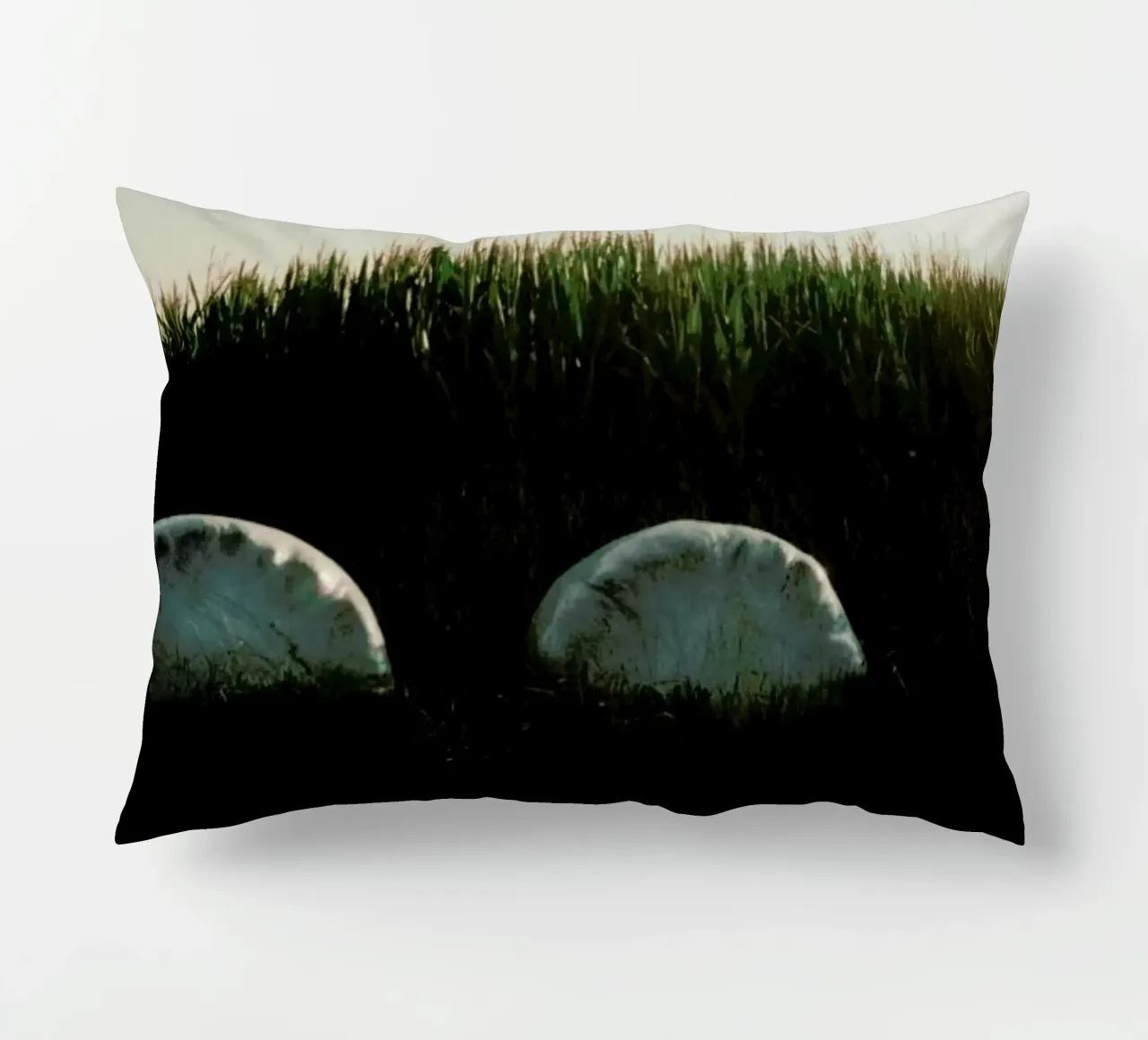 Analog Series Fields At Sundown cuscino da Sebastian Hilgetag
