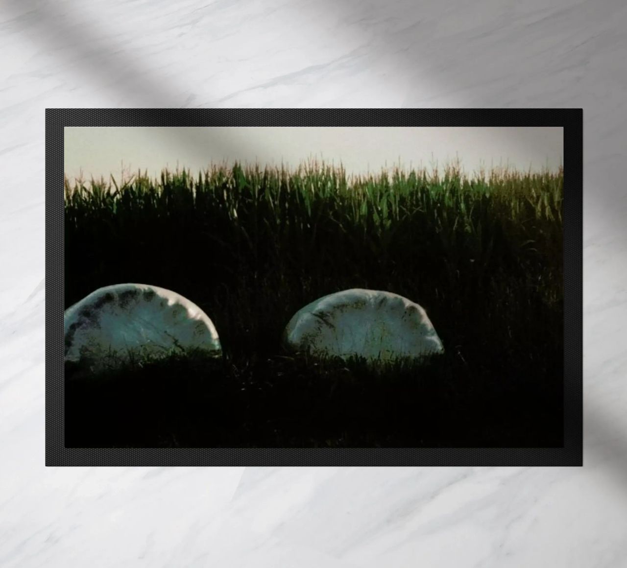 Analog Series Fields At Sundown zerbino da Sebastian Hilgetag