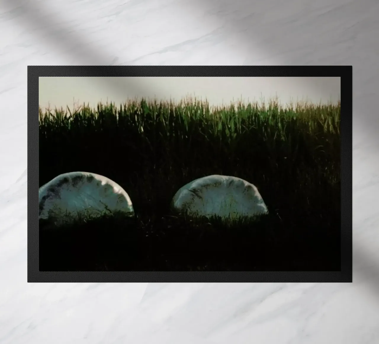 Analog Series Fields At Sundown zerbino da Sebastian Hilgetag