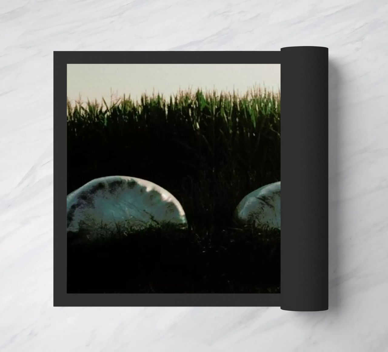 Analog Series Fields At Sundown zerbino da Sebastian Hilgetag