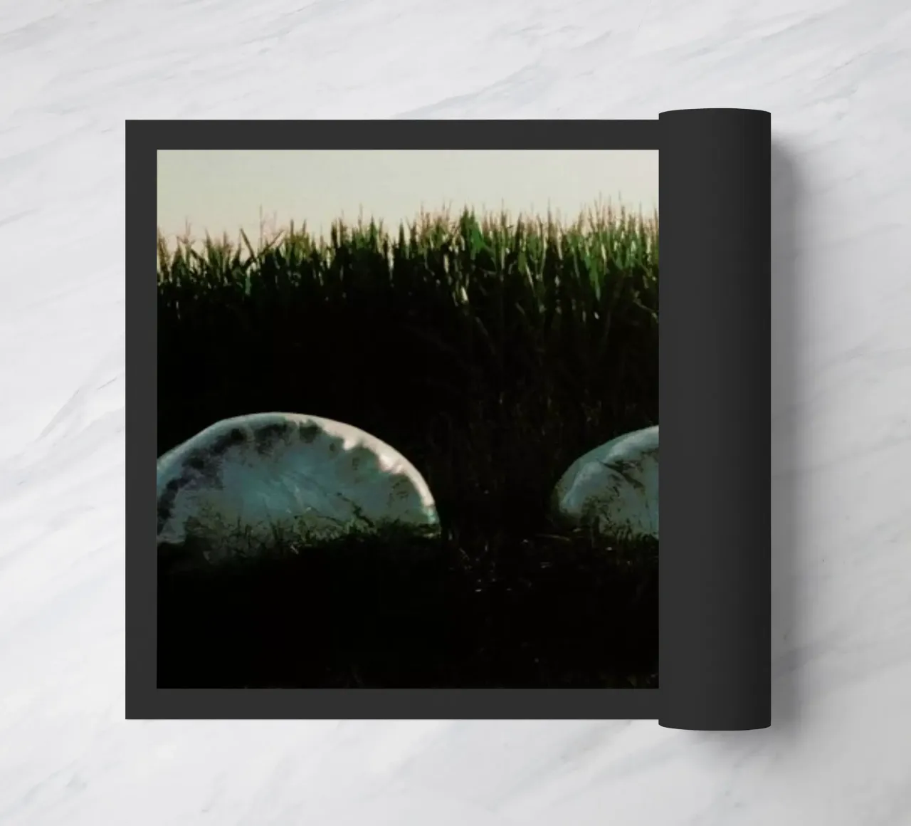 Analog Series Fields At Sundown zerbino da Sebastian Hilgetag