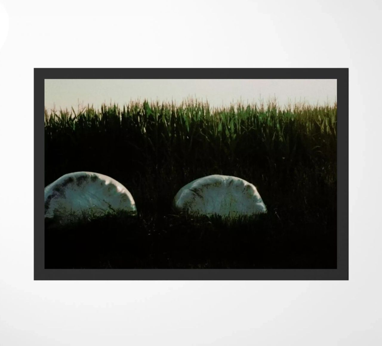 Analog Series Fields At Sundown zerbino da Sebastian Hilgetag