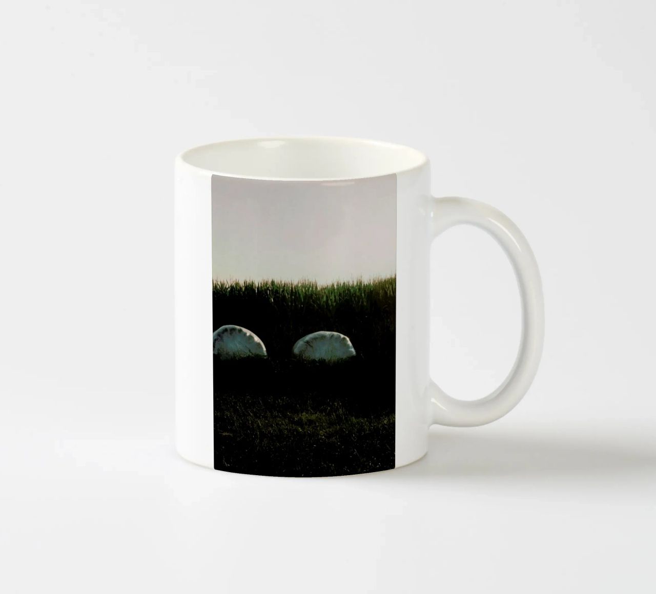 Analog Series Fields At Sundown tazza in ceramica da Sebastian Hilgetag