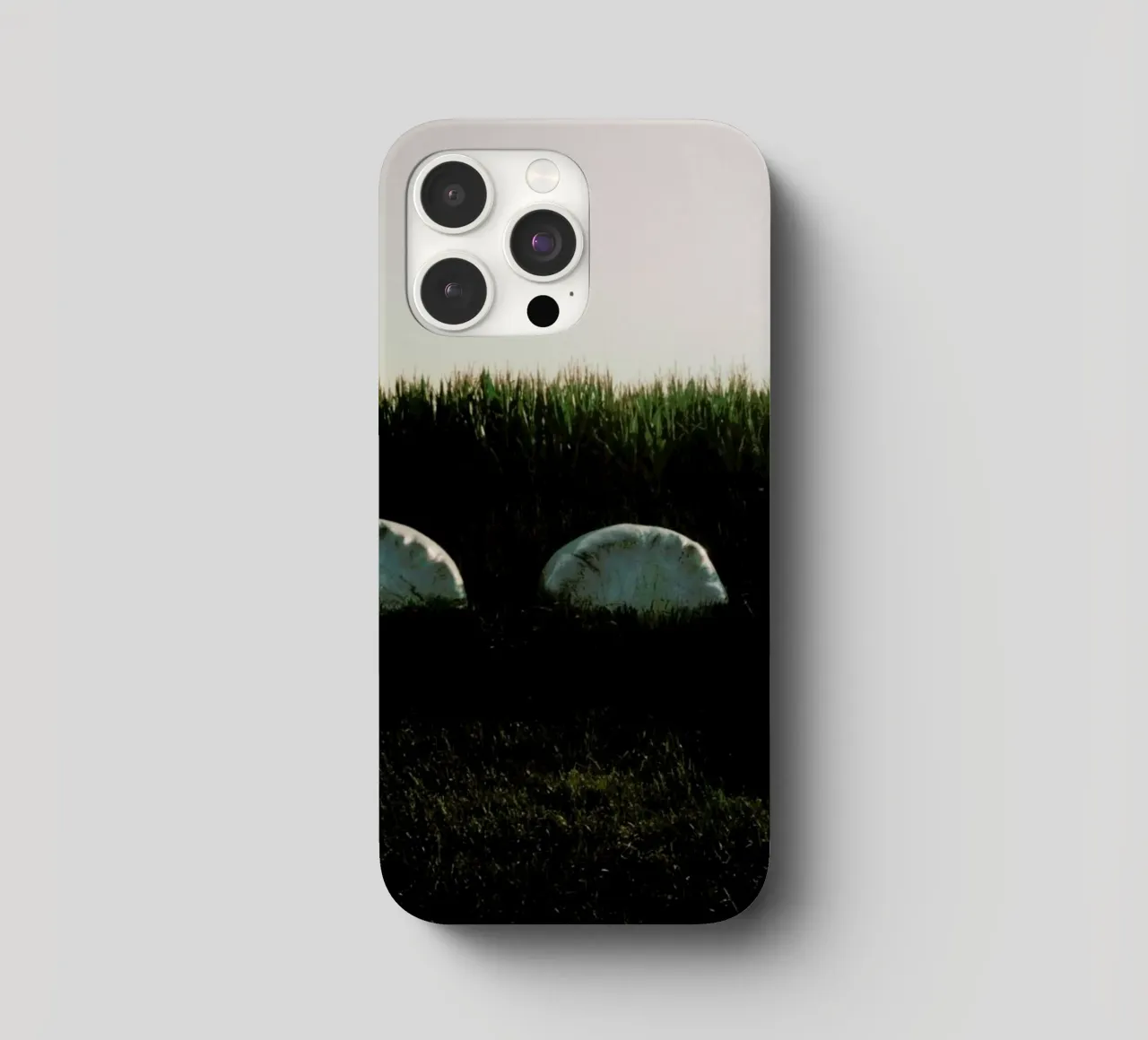 Analog Series Fields At Sundown cover iphone da Sebastian Hilgetag