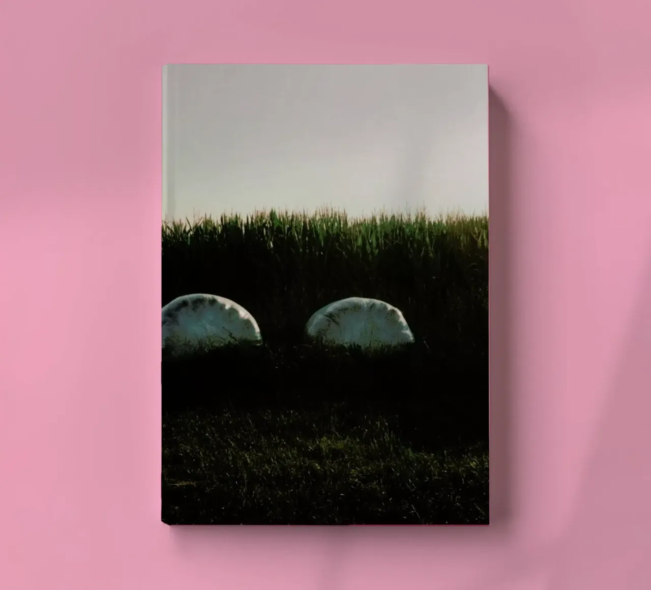 Analog Series Fields At Sundown diario da Sebastian Hilgetag