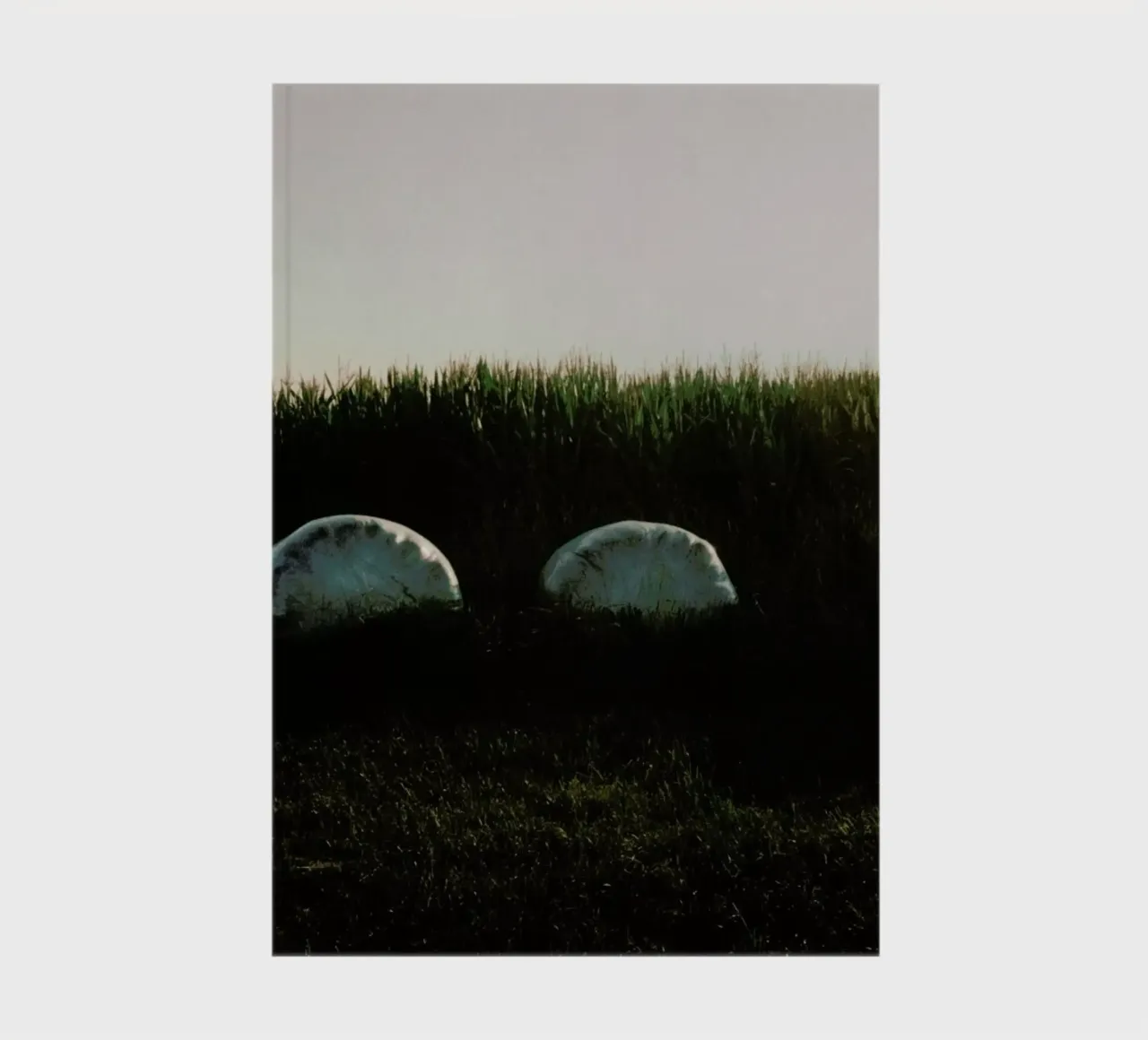 Analog Series Fields At Sundown diario da Sebastian Hilgetag